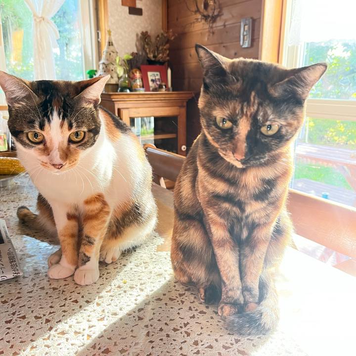 6d77eab7 380b 45a5 b08c b302d43d7e18 1663194372899