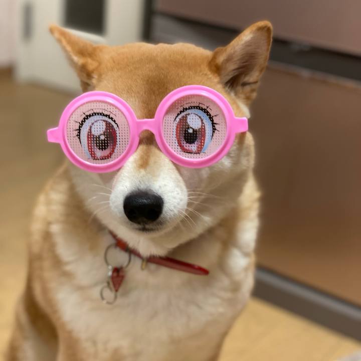 6d78138c 6f19 43d7 9ef0 b5b34905d5b0 1614438057255