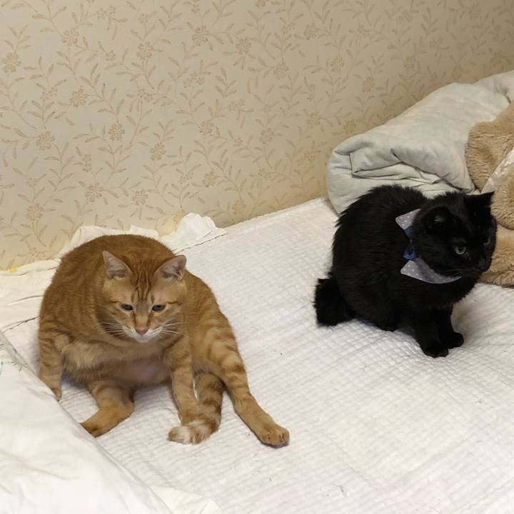 6d782016 7074 4b13 b3e4 f7b4bf6ee9df 1573940994810