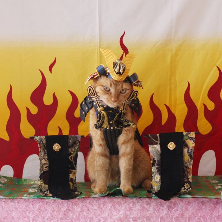 6d787356 59c4 44a6 8417 b0f3ab01bef4 1746348649212