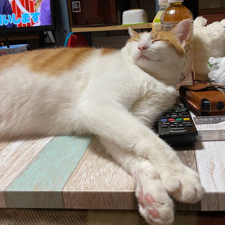 6d788fa2 9789 4498 a22b 7d1e73c58746 1578661037422