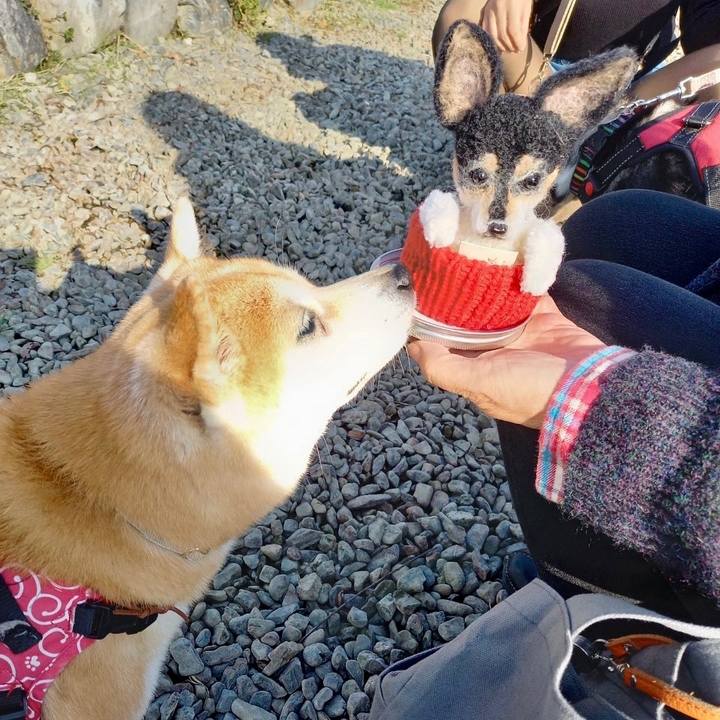 6d78a097 efd8 4f01 8457 36596b8f807f 1637459259478