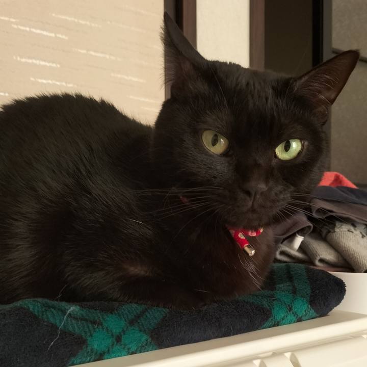 6d78ac3c d979 4a19 a054 632cf658db44 1638657518922