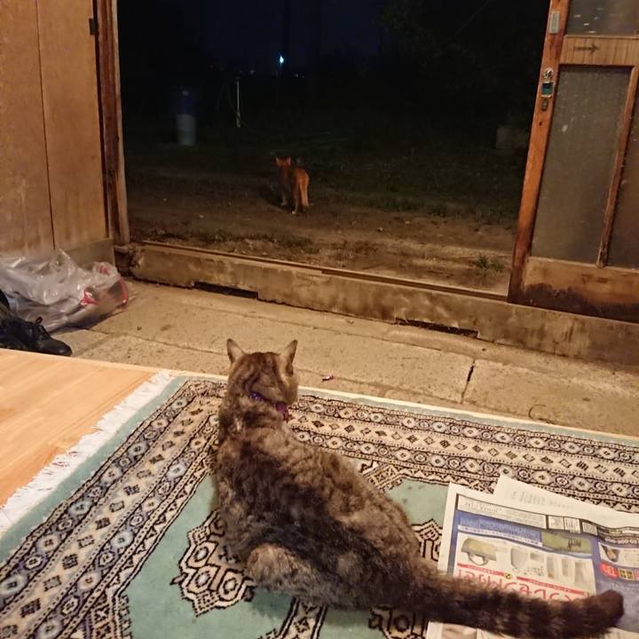 6d78dd38 ee7e 40f4 853a f81fcd0168e6 1598177552663