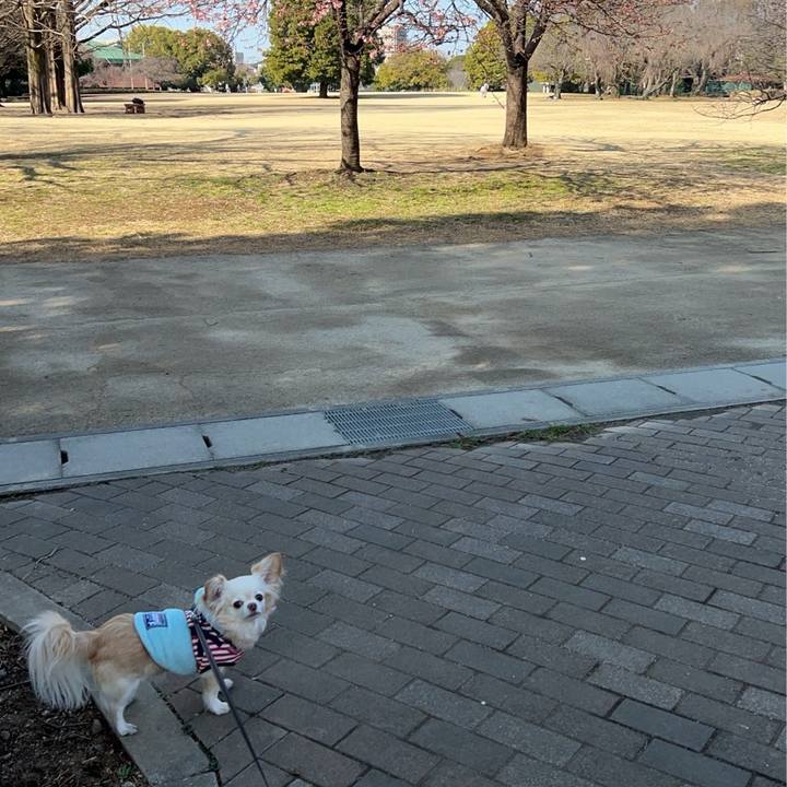 6d78e61e bec5 40fd 8313 98f9883ce71c 1771758990349