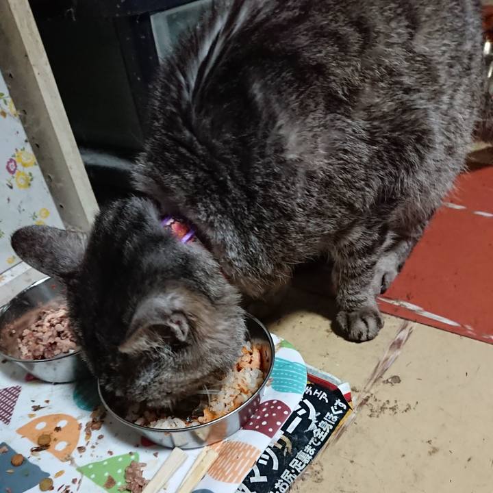 6d796ee8 2a77 4a85 867b 95c3d3b2ca5f 1590236284847