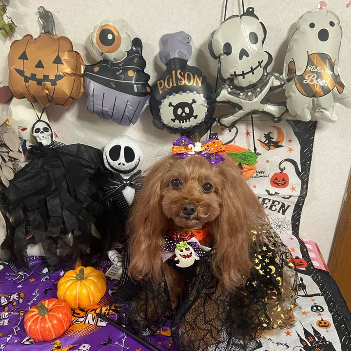 6d797c45 0360 4be2 8187 033c74516060 1761908611526