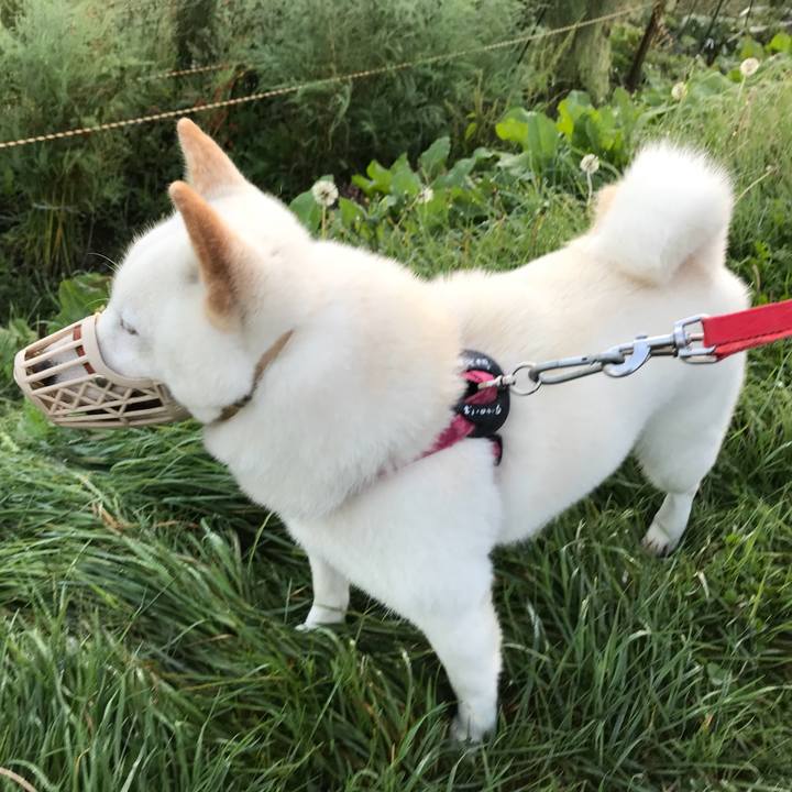 6d798c93 a9a3 4133 a278 2aa5aafde9bc 1537131534077