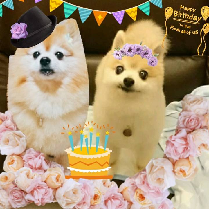 6d79934e 5f22 41bc a6fe 9bd80fc968ab 1560298764070