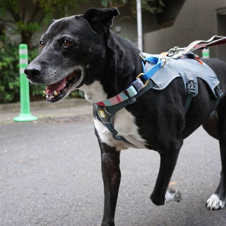 6d799fd6 b305 423b 82dd d86adac9c114 1761181151621