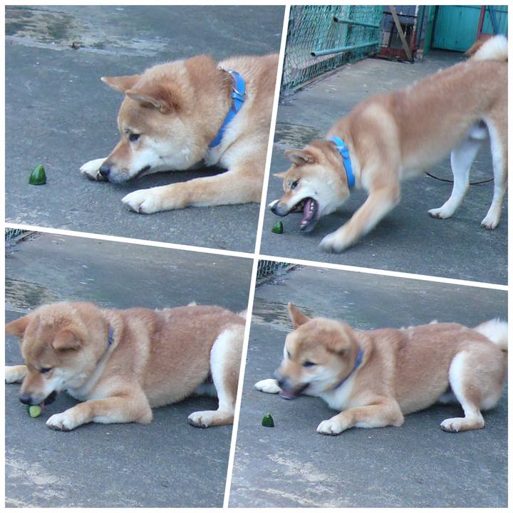 6d79c3b3 467b 43dd 89c6 fc4314695842 1627357637909