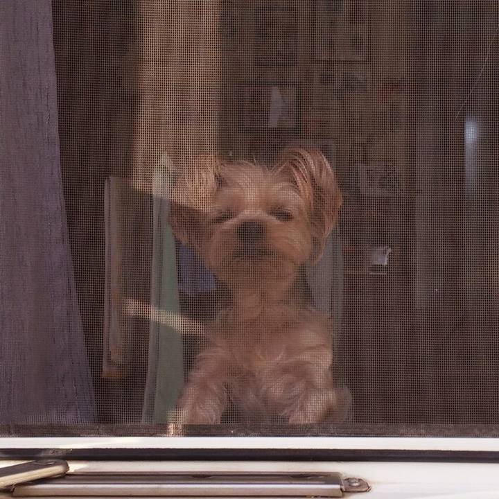 6d79e442 d30d 45b9 9788 2d16c9431980 1536404023549