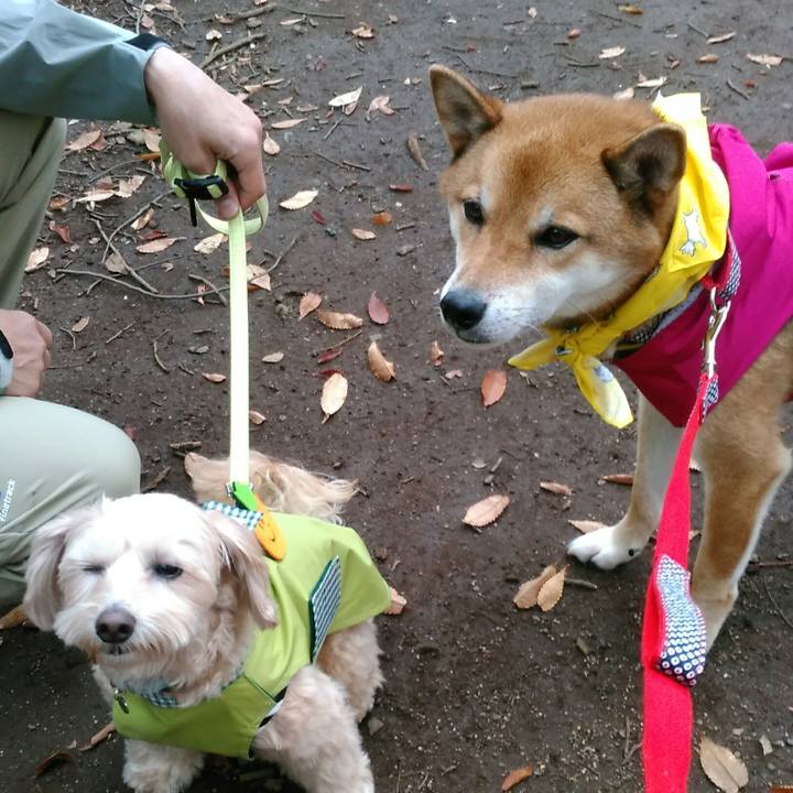 6d79eaab f372 4d14 8c75 82f983451c4b 1509173348636