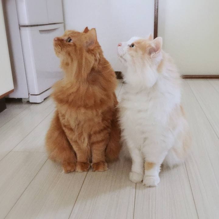 6d7a47b9 002d 4af9 ac19 6115ad3b4a7c 1512166354215