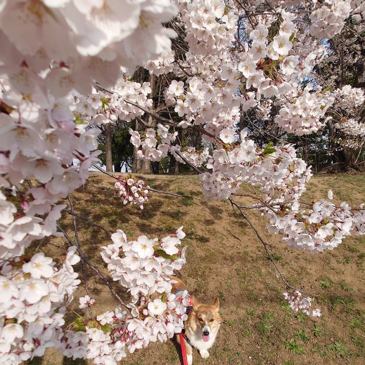 6d7a67f7 8028 4184 a537 95757935cce3 1777247444924