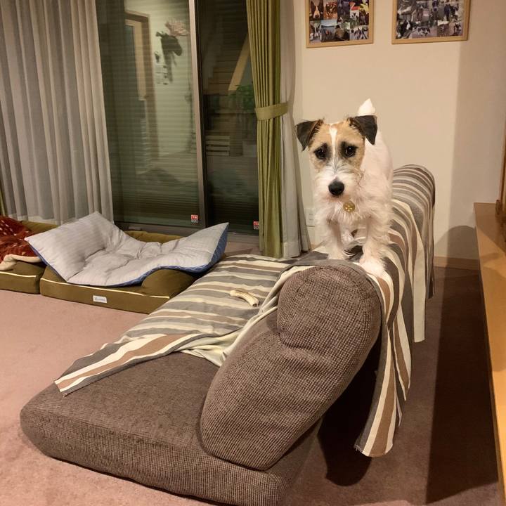 6d7a6bc8 0c9d 41e4 b9a8 a73a82ec326e 1593178139620