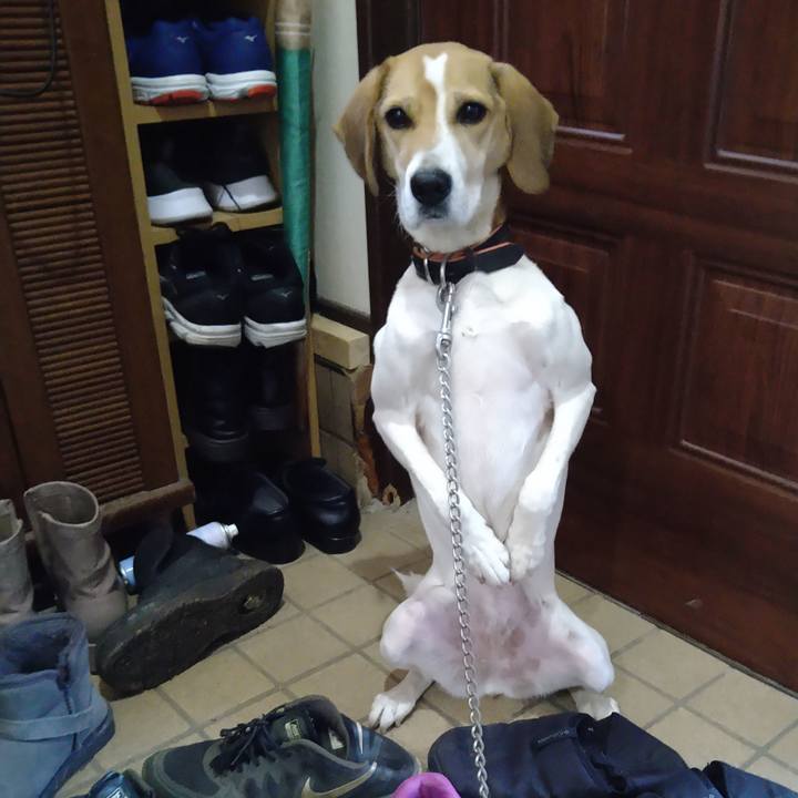 6d7a8760 e38f 44ad 830c 96db75587689 1644133574877