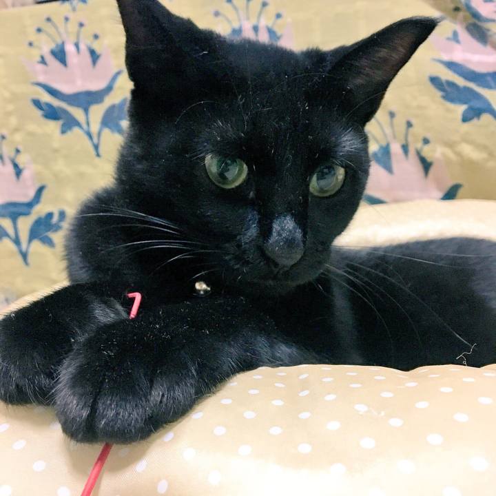 6d7aa642 31ea 4a0c 9526 0a3c42ec29a3 1507892674152