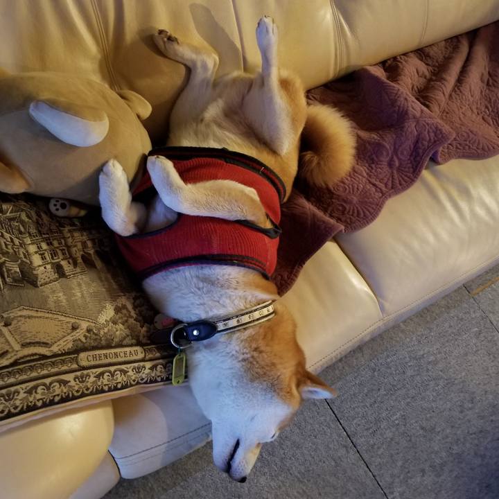 6d7abe20 b796 4f1a b64a 409fb2265526 1608379706673