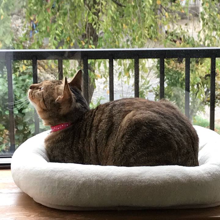 6d7aee3c af82 4c42 955f 2bbd98448b3b 1710912485441