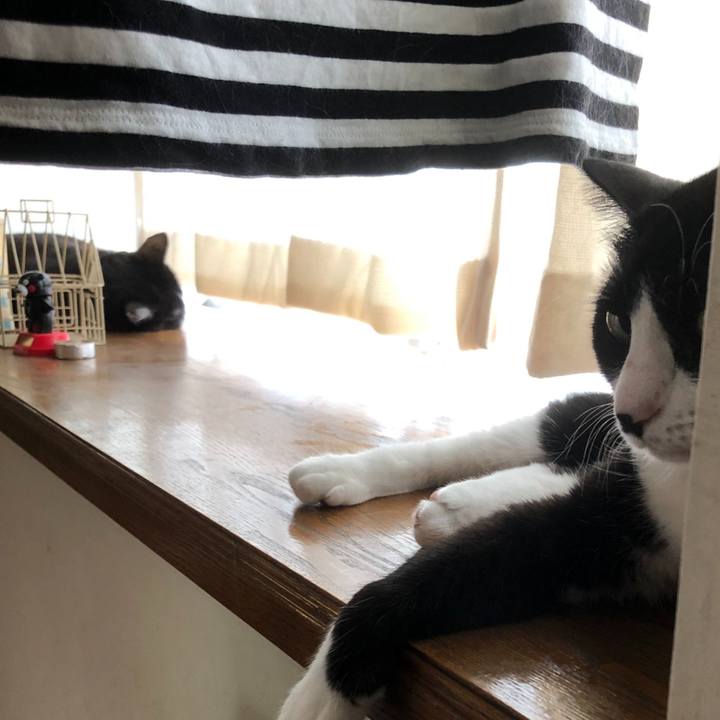 6d7b7e11 bdaf 4e7e 89c4 40bacfe575e0 1599284419903