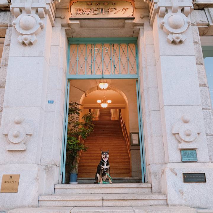 6d7c126f 9d86 4ff9 87ea 1e3817f8dd9d 1558004265889