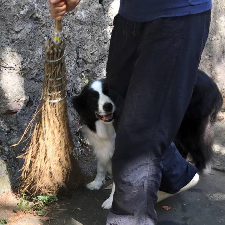 6d7c1453 553b 4200 a53c a94a3e70f6dd 1535538127874