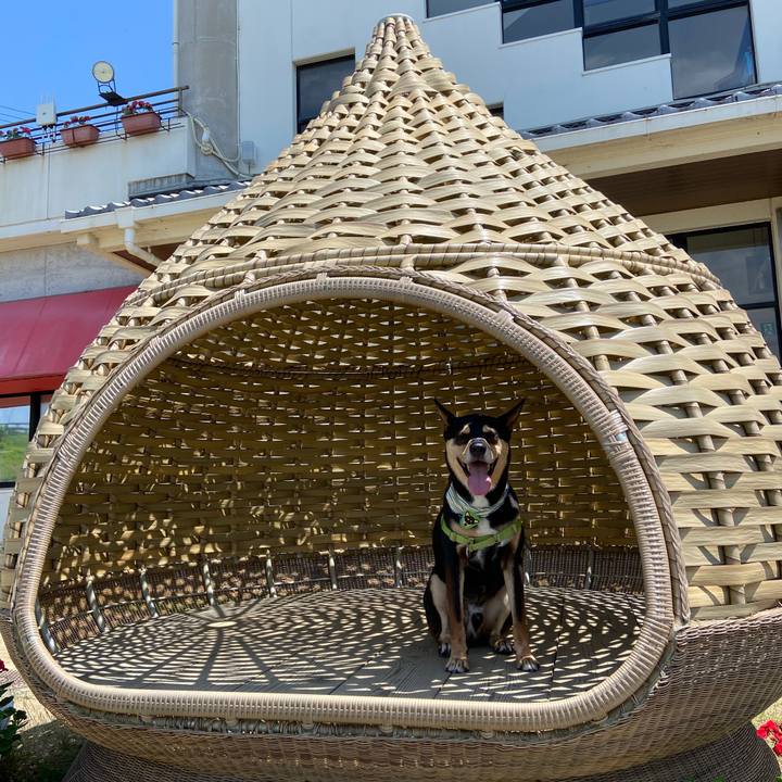 6d7c169e 133d 4826 aa65 dea236e9b1be 1624272477497