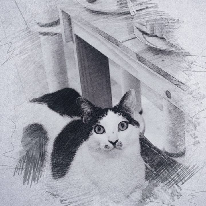 6d7c878e 7c28 477c b877 30047d333609 1510287133917