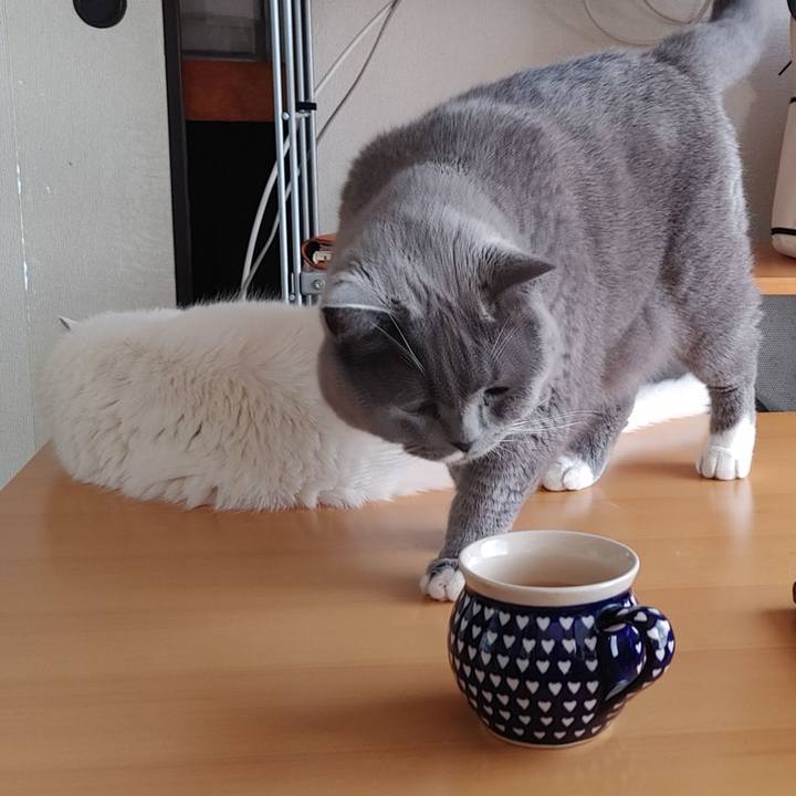 6d7cceb8 48ec 4dda 8a15 235290a33211 1658615548402