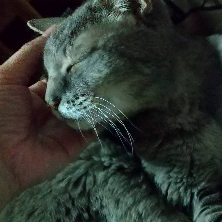 6d7cde07 702b 4c36 80e7 b2caf151b383 1698013847680