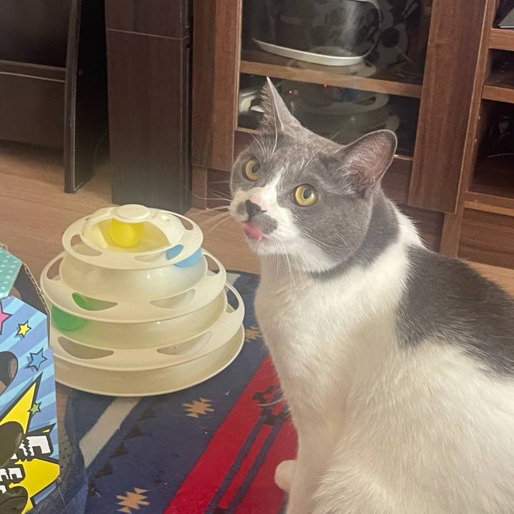 6d7d0414 3225 4316 b272 dbded2daf4f9 1633737539592