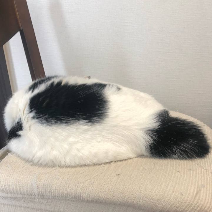 6d7d13bb 8c58 416f a9ee 64036f2a8961 1585697571294