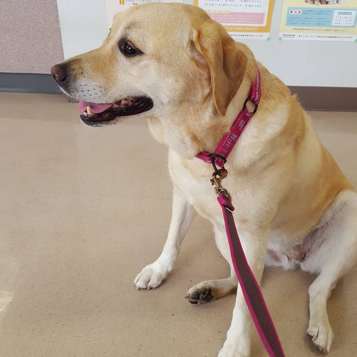 6d7d2bdf 92bf 4a01 a3bb 0e466bb3cad2 1570423104687