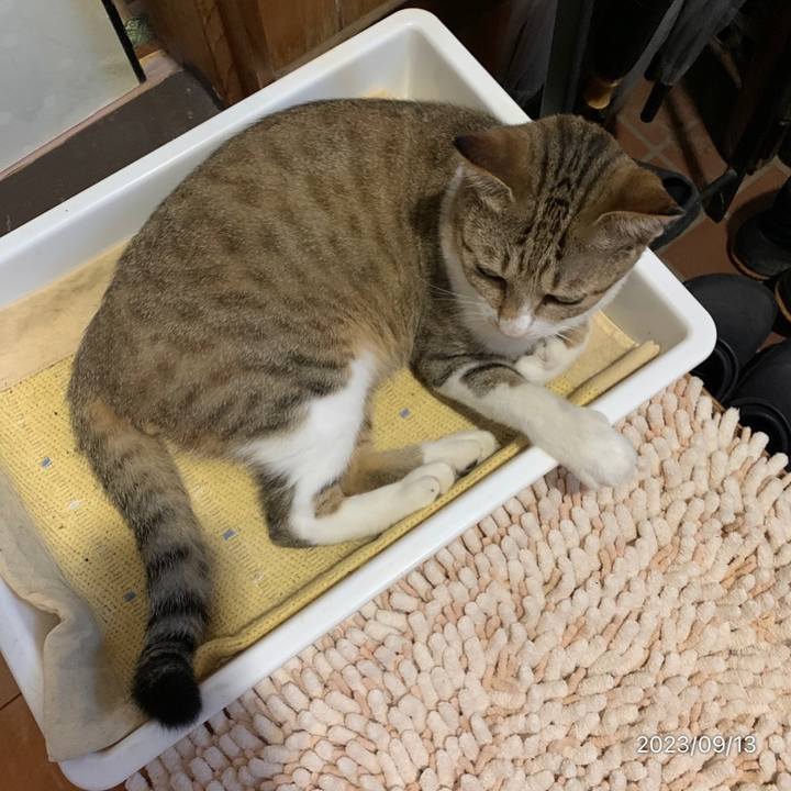 6d7d305a ea10 4fdc 9f11 80ace5cf0db7 1694556873690