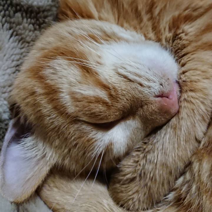 6d7daedb c1c4 4e8d a7ee 440ee6bd14e7 1640002417869