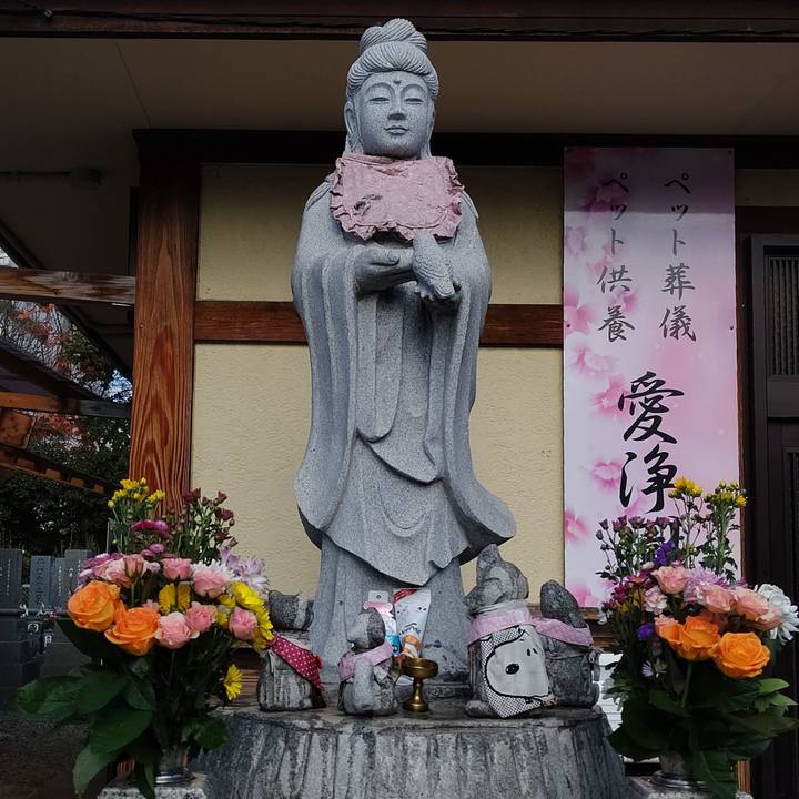 6d7ddc00 9d80 4728 8f31 97bb9aa85382 1576299068901