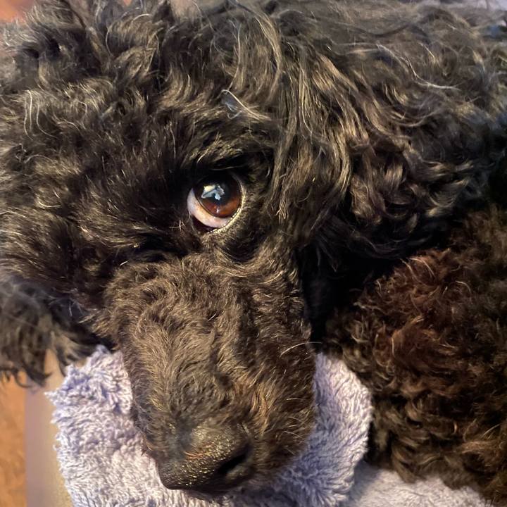 6d7de9ae 0a56 44b0 8be8 c01bc5730126 1622000732475