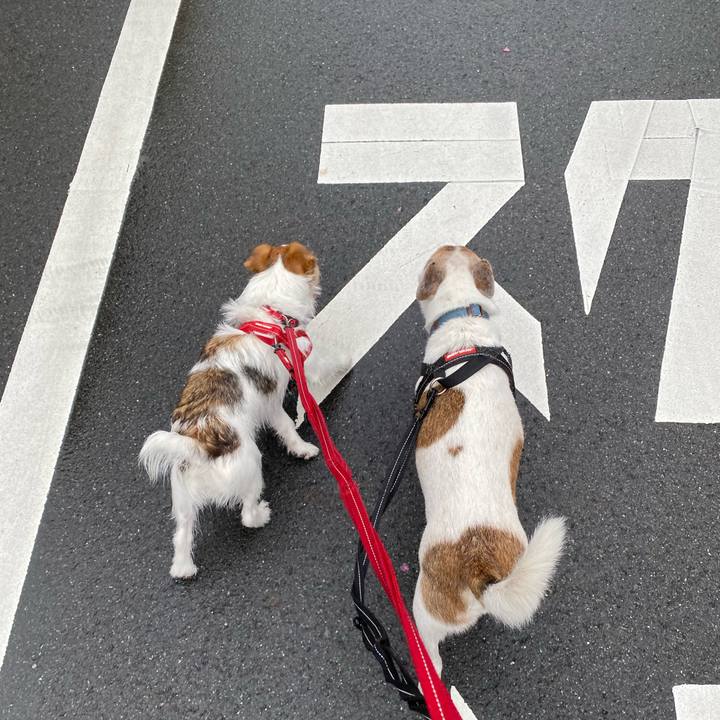 6d7dfccc 36f2 4e88 a003 1349d5bf475c 1629809269558