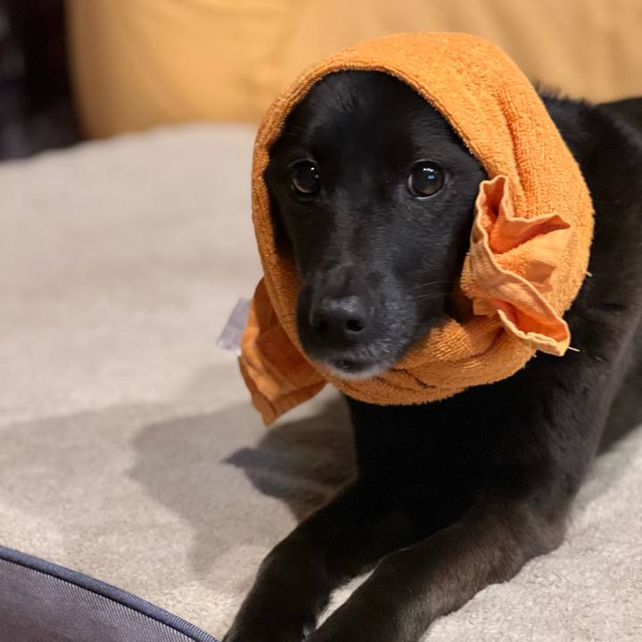 6d7e4314 ef1d 4817 b766 8135afbc51c8 1647596623751