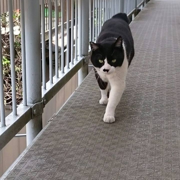 6d7e5042 d875 4186 9162 5874cdcaf5d6 1525056267182