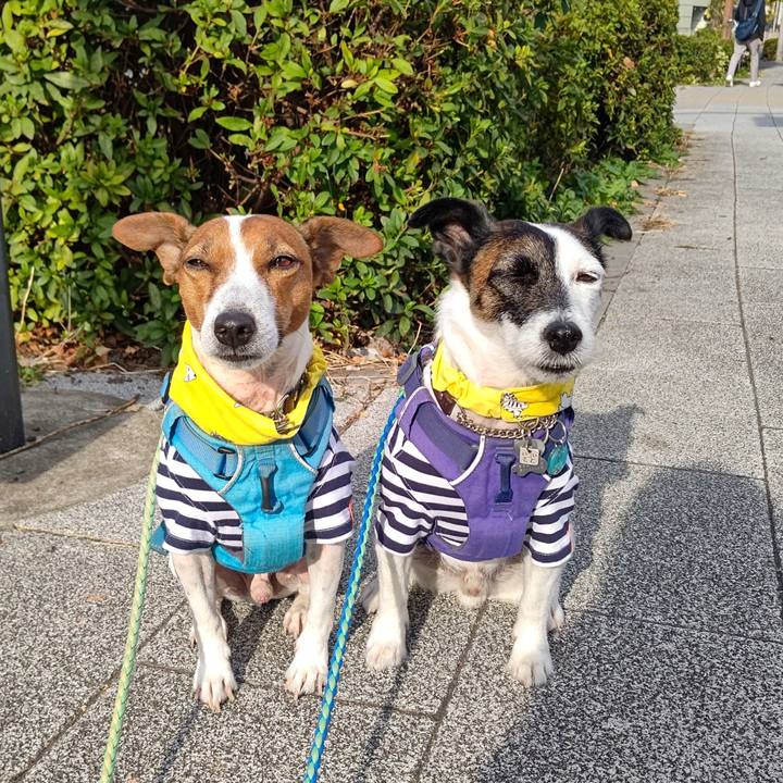 6d7e7239 e7c7 4c44 8a0a f0c059bab234 1668298724006