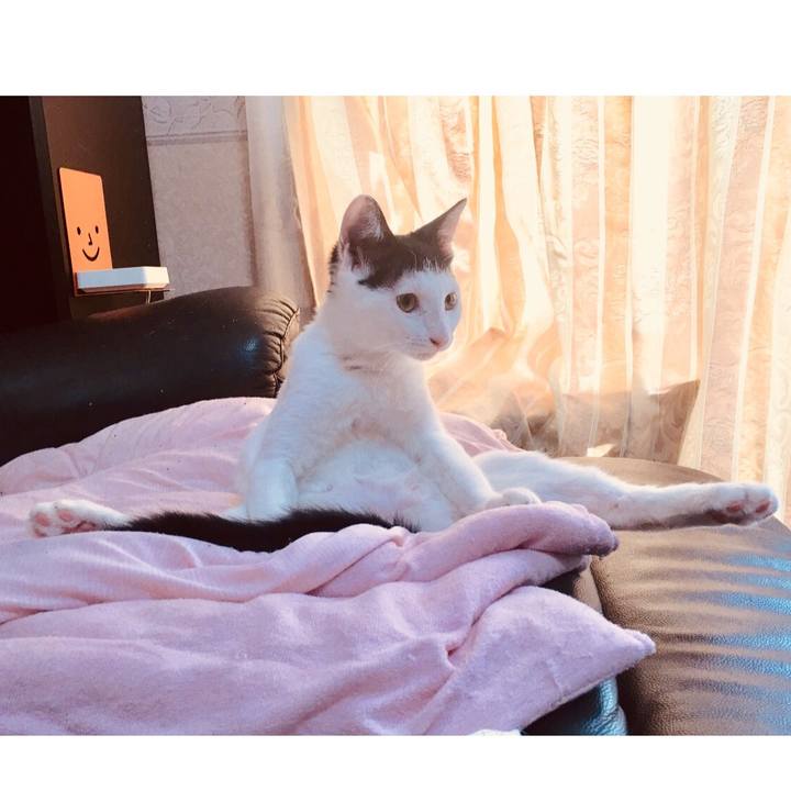 6d7e767e 1ebd 4188 ac27 d36a37d7a31b 1535817068204