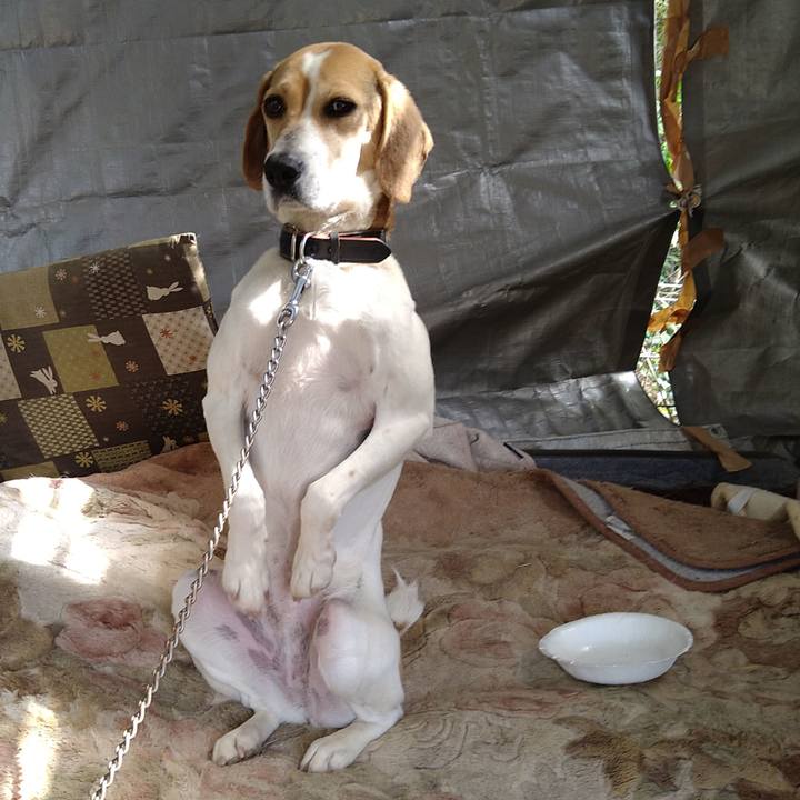 6d7ee32c c033 4b1a 9c44 216a25c05487 1659971265790