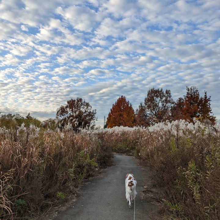 6d7efb7a fcc4 4e43 bbb5 756dd9353243 1670573763810