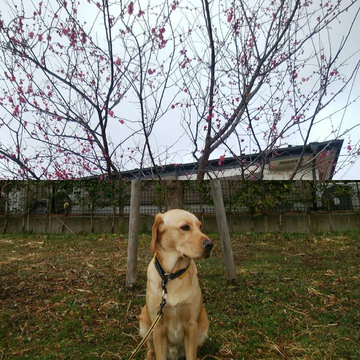 6d7f0e01 6cab 437e bb0a af91c3676743 1517704076048