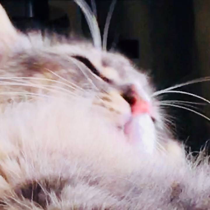 6d7f7549 0a20 494f aa65 7559d70a58a4 1511654005786