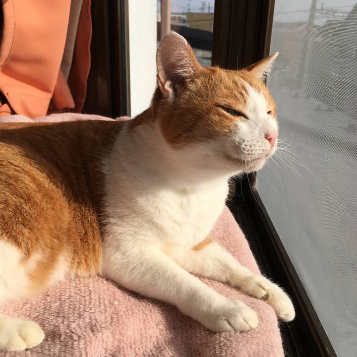 6d7f8116 1a92 4ba0 ae9a 205025c05b2e 1572504945768