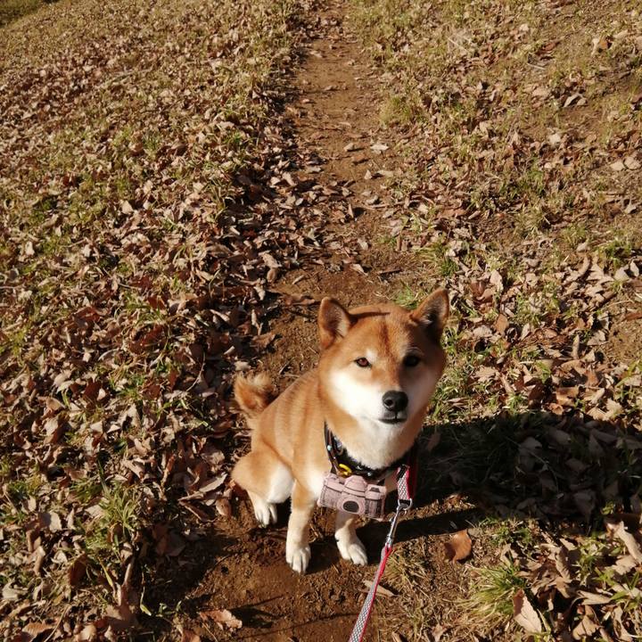 6d7fc982 0f79 4105 bf83 c298f5943e33 1581406097827