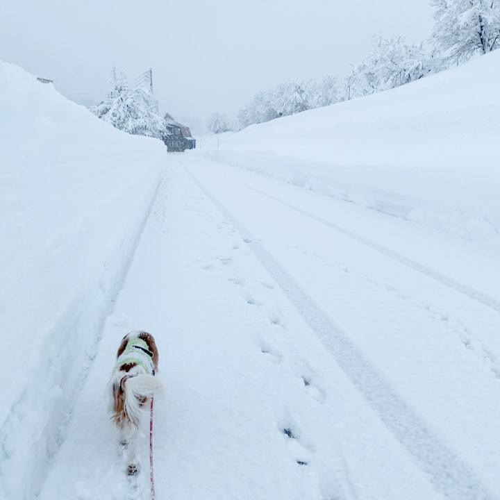 6d7fcde1 741d 45ae b6a0 594570c7e7e4 1609541415332